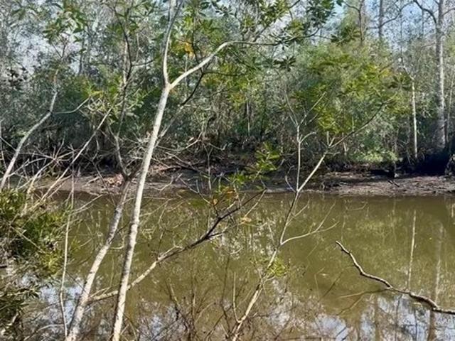 Land for sale in Mobile County Commission District 3, Mobile