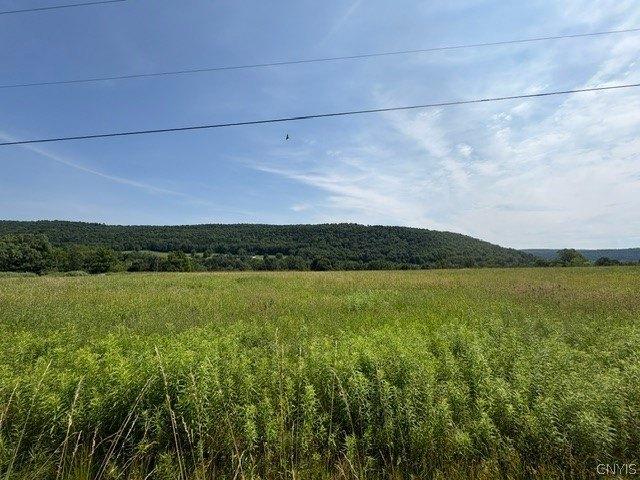 Farm for sale in Town of Cincinnatus, Cortland County