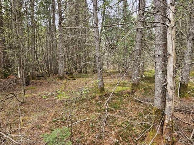 Land for sale in Sutton, Vermont