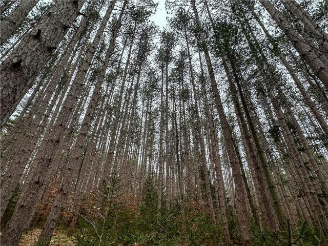 Land for sale in Arkport, New York
