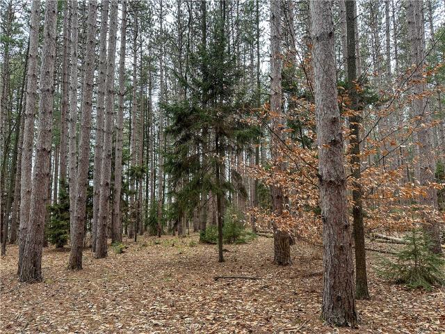 Land for sale in Arkport, New York