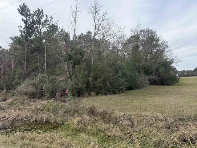 Land for sale in Iowa, Louisiana