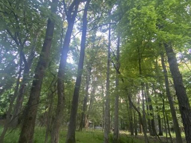 Land for sale in Gilbert, Pennsylvania