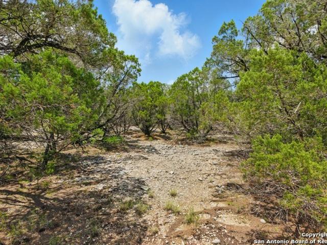 Land for sale in Mico