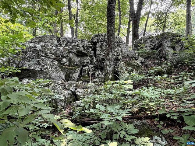 Land for sale in Virginia