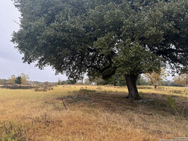 Land for sale in La Grange, Texas
