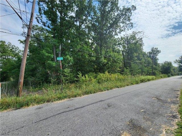 Land for sale in Lorain, Lorain County