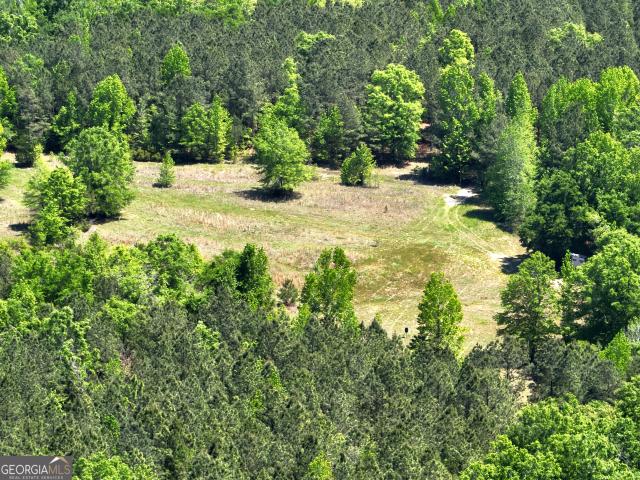 Land for sale in Davisboro, Georgia