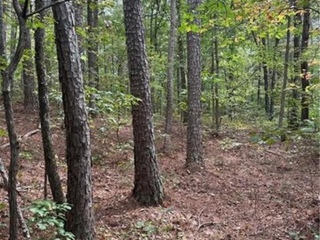 Land for sale in Waleska, Georgia