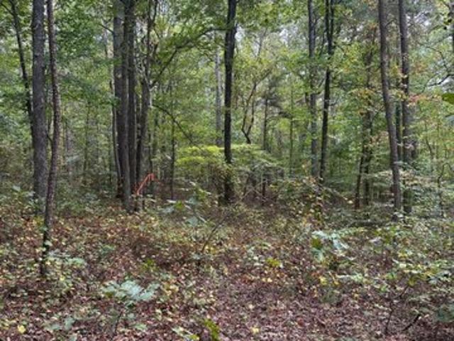 Land for sale in Waleska, Georgia