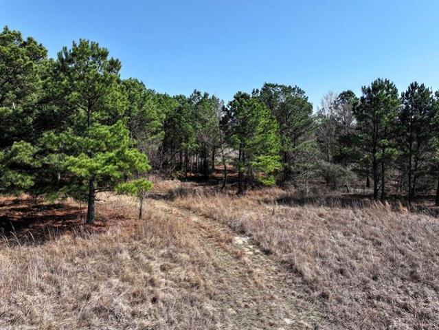 Land for sale in Henderson, Texas
