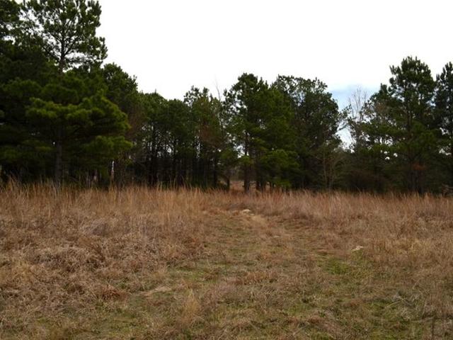 Land for sale in Henderson, Texas