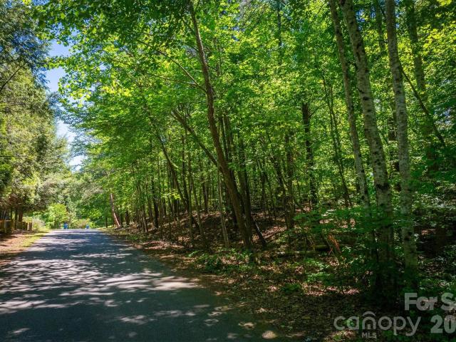 Land for sale in Connellys Springs, North Carolina