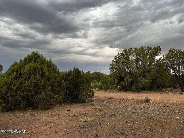Land for sale in Navajo, Arizona
