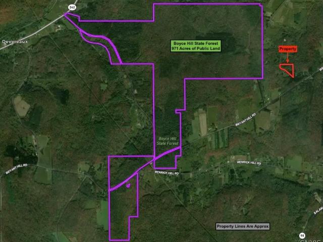 Land for sale in Franklinville, New York