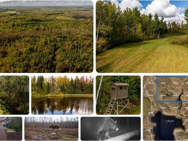 Land for sale in Emily, Minnesota