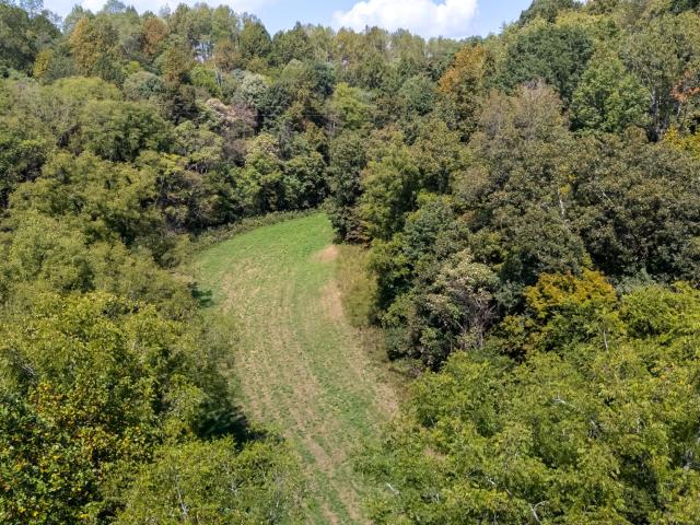 Land for sale in Pulaski, Middle Tennessee