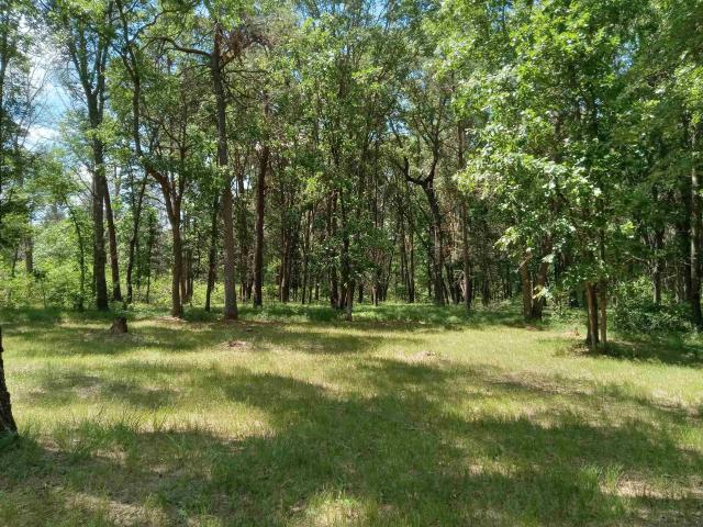 Land for sale in Nekoosa, Wisconsin