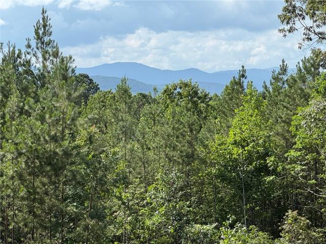 Land for sale in Salem, South Carolina