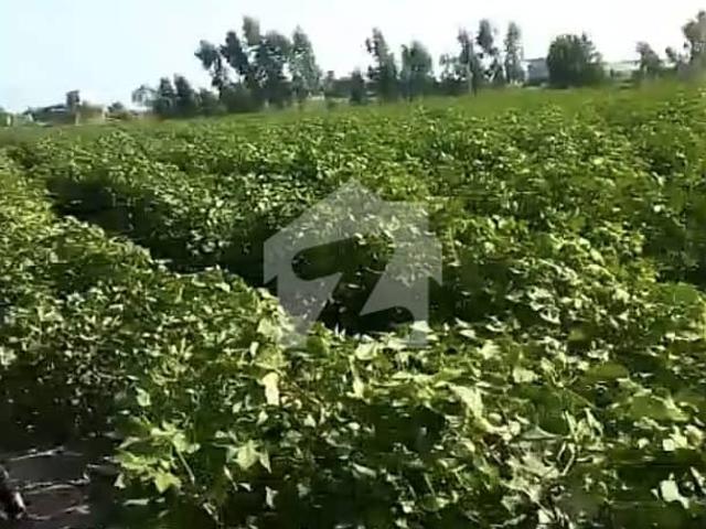 Land for sale in Federally Administered Tribal Areas fata
