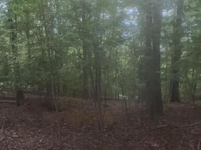 Land for sale in Scottsboro, Alabama