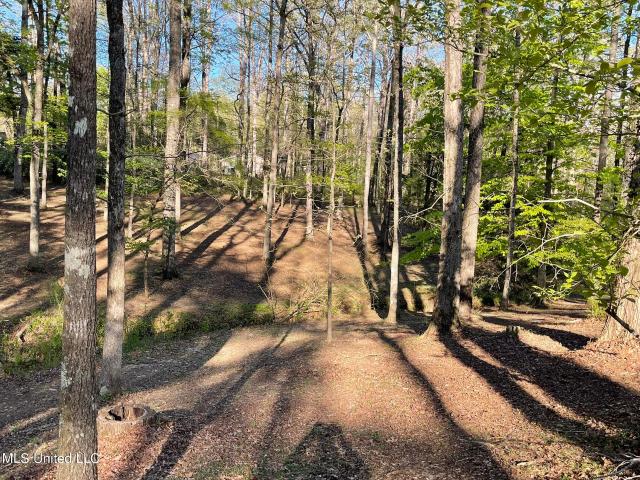 House for sale in Meridian, Mississippi