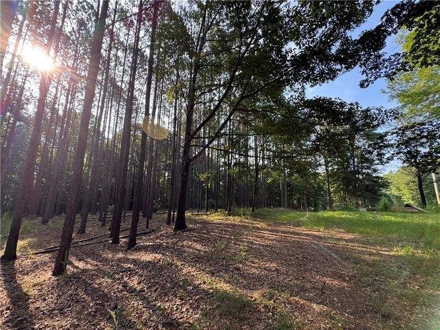 Land for sale in Tallapoosa, Alabama