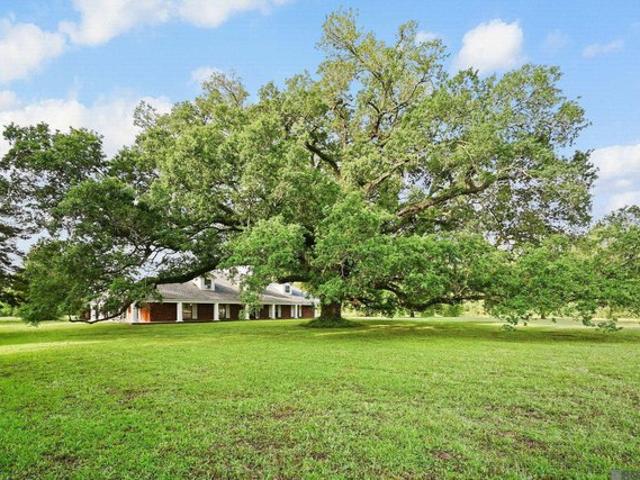 House for sale in Gonzales, Louisiana