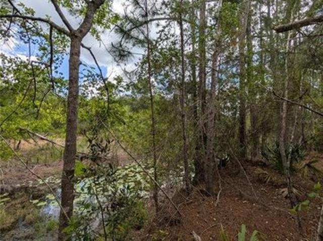 Land for sale in Eustis, Lake County