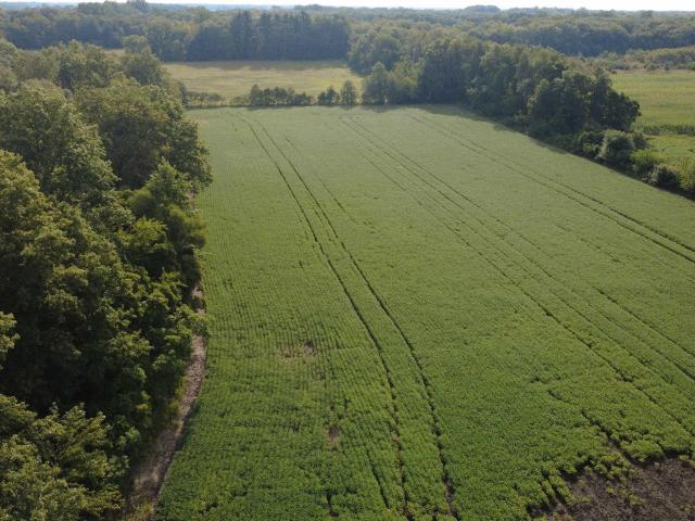 Land for sale in Medaryville, Indiana