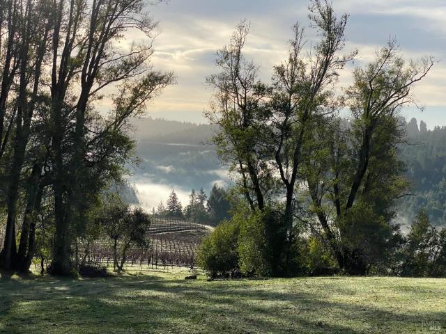 House for sale in Cazadero, California