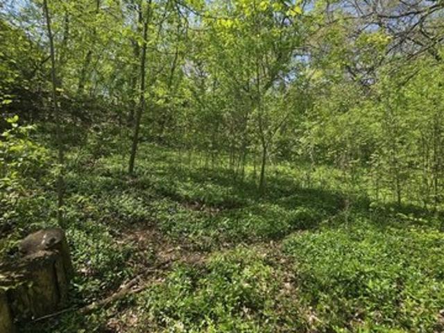 Land for sale in Mchenry, Illinois