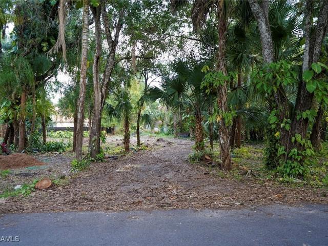 Land for sale in Labelle, Florida