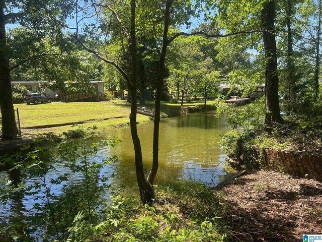 Land for sale in Ohatchee, Alabama