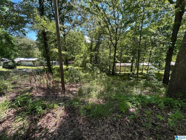Land for sale in Ohatchee, Alabama