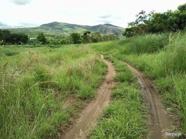 385 Hec. Upland MANGO Farm Iba, Zambales