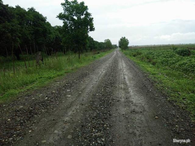 385 Hec. Upland MANGO Farm Iba, Zambales