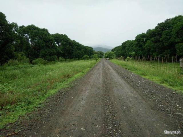 385 Hec. Upland MANGO Farm Iba, Zambales