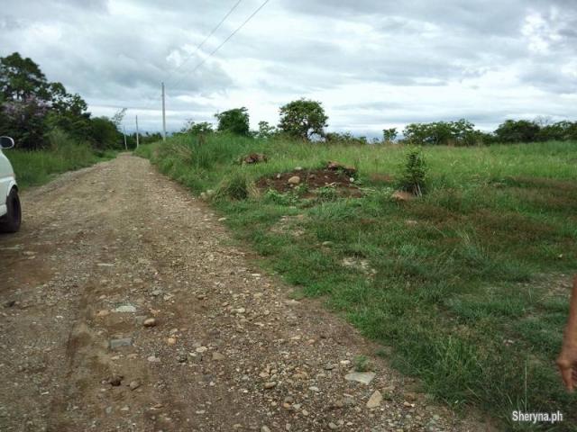 385 Hec. Upland MANGO Farm Iba, Zambales