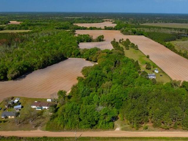 Land for sale in Worth, Georgia