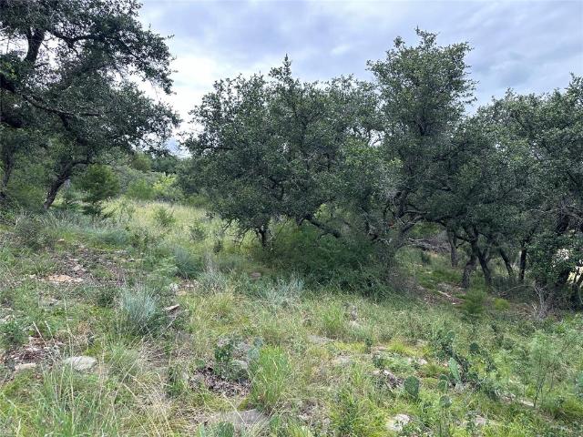 Land for sale in Brownwood, Texas