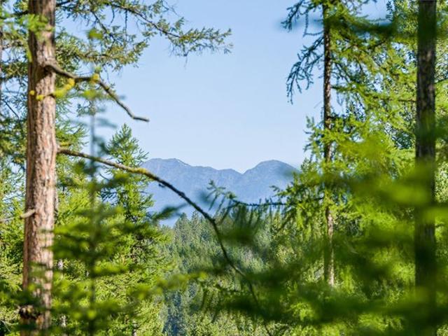 Land for sale in Bigfork, Montana
