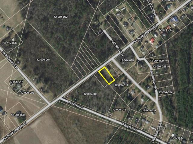 Land for sale in Lane, South Carolina