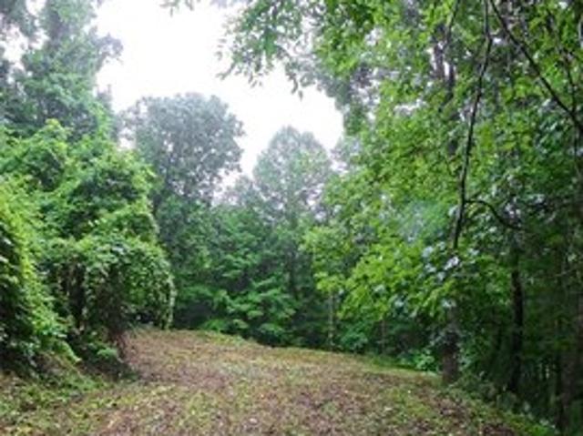 Land for sale in Haywood, North Carolina