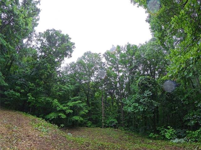 Land for sale in Haywood, North Carolina