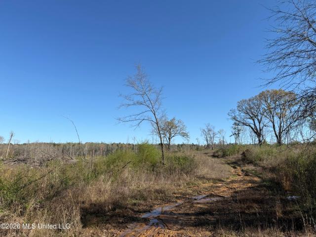 Land for sale in Pickens, Mississippi