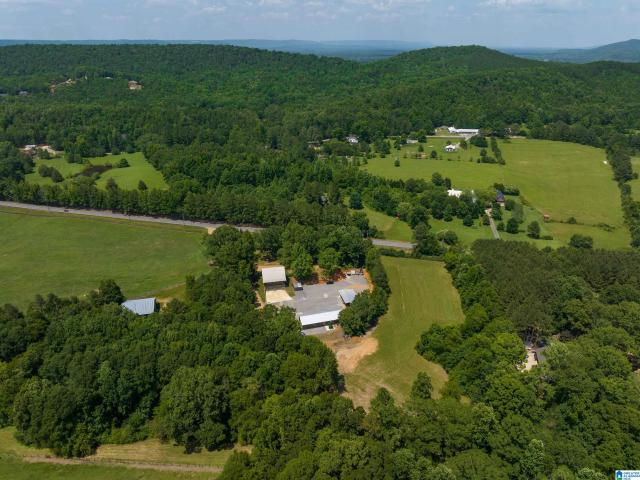 Commercial for sale in Springville, Alabama