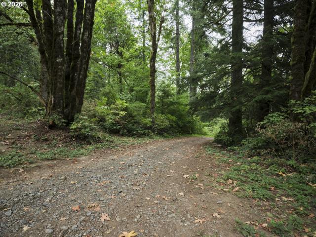 Land for sale in Yacolt, Washington