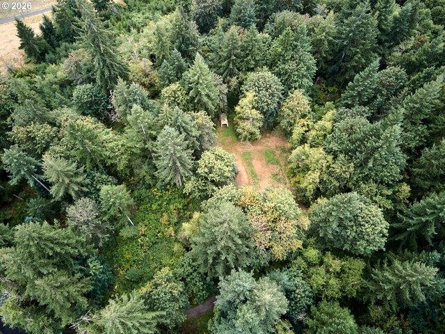 Land for sale in Yacolt, Washington