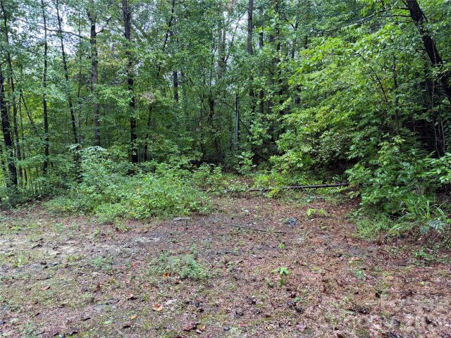 Land for sale in Celeste Hinkel, Statesville